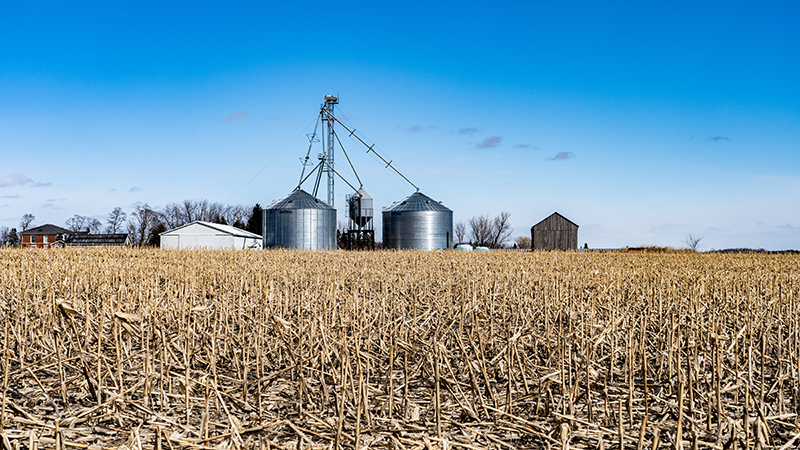 Silo 2a.jpg